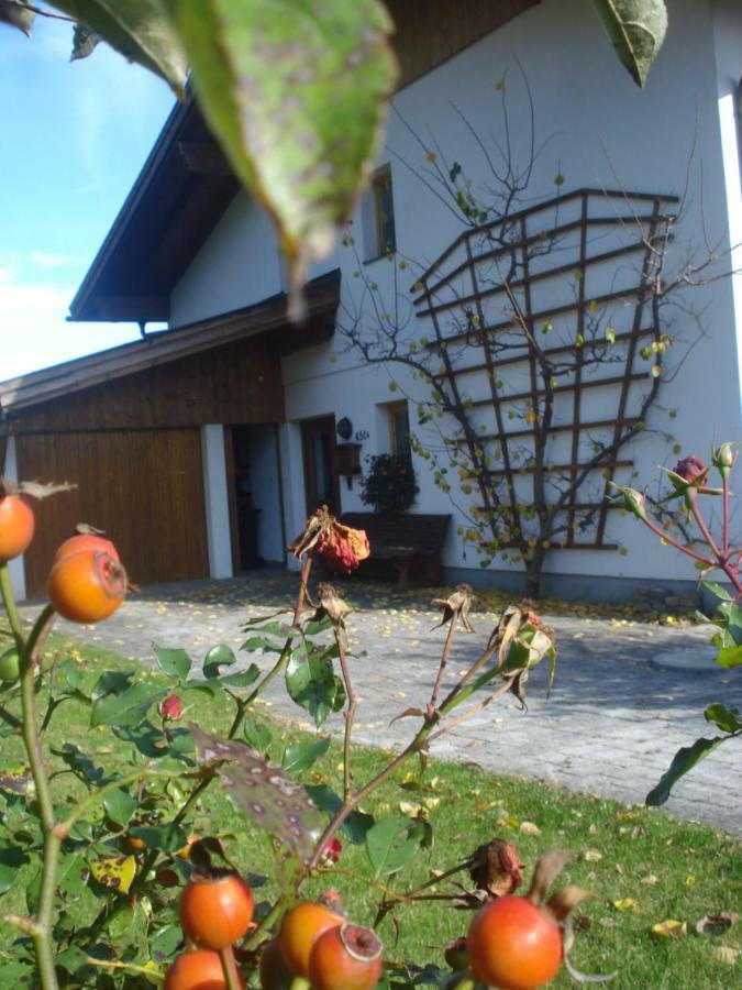 Willa Haus Gasteig Stans Zewnętrze zdjęcie