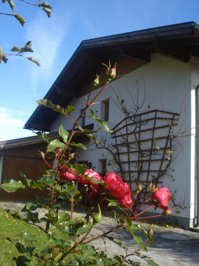 Willa Haus Gasteig Stans Zewnętrze zdjęcie